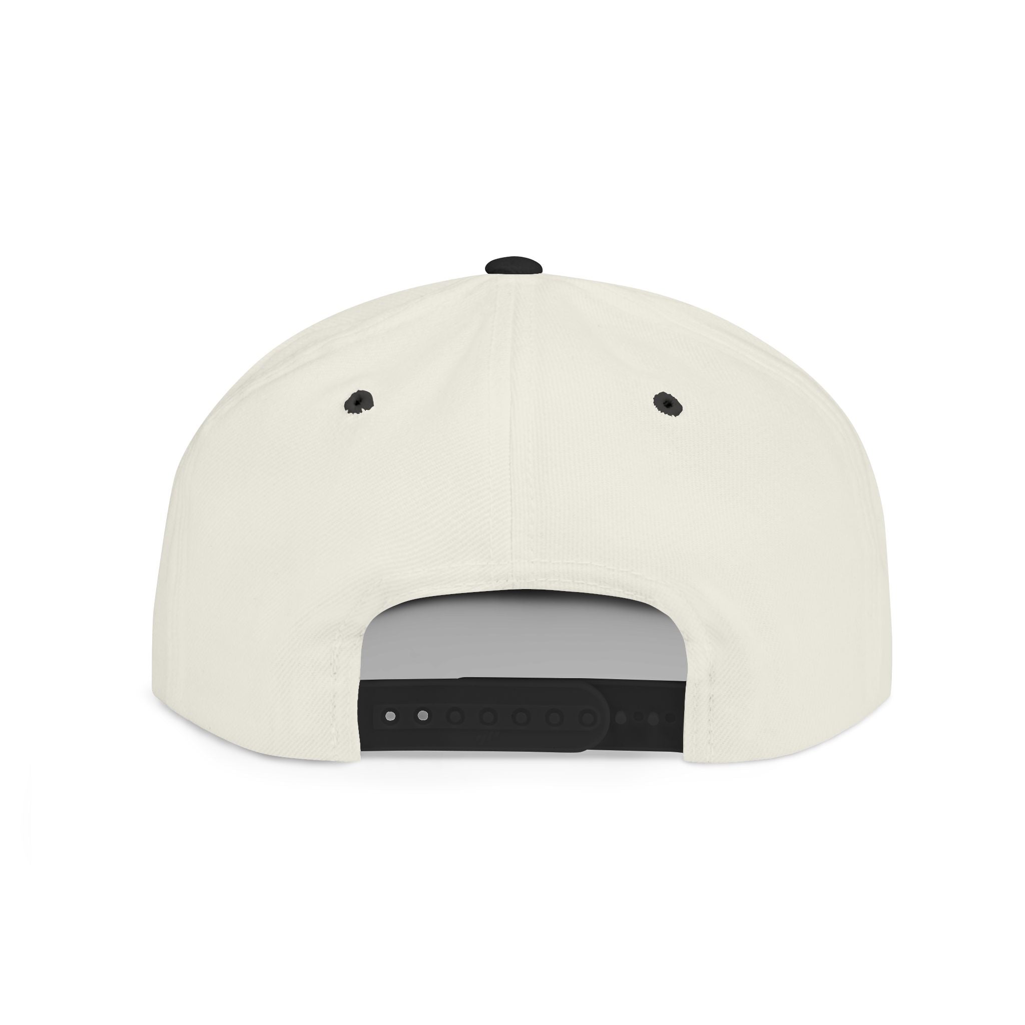 Unsupervised “What Could Go Wrong?” Snapback Printify